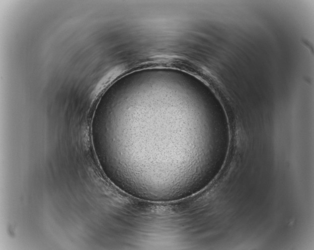 X0000102291362200808011503