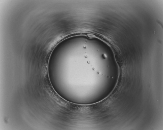 X0000102291363200808011503