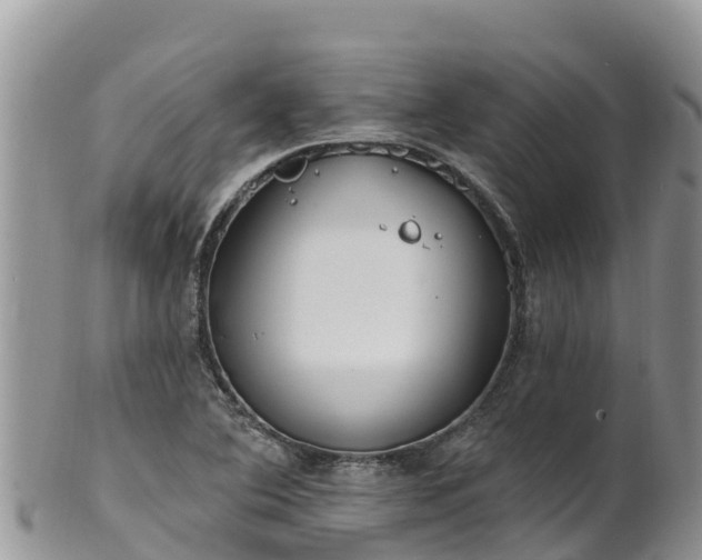 X0000102291364200808011503