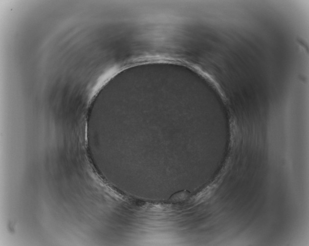 X0000102291365200808011503