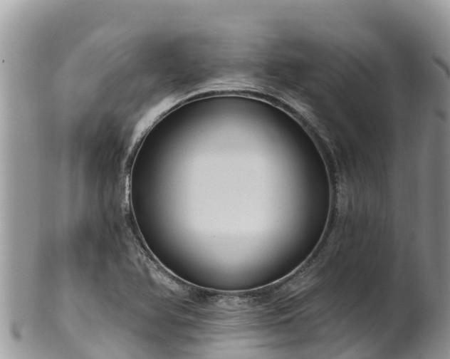 X0000102291366200808011503