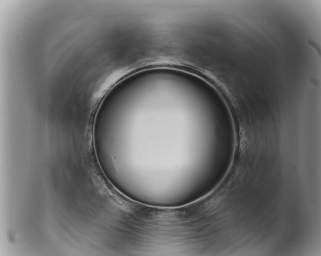 X0000102291367200808011503