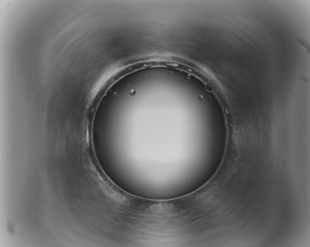 X0000102291368200808011503