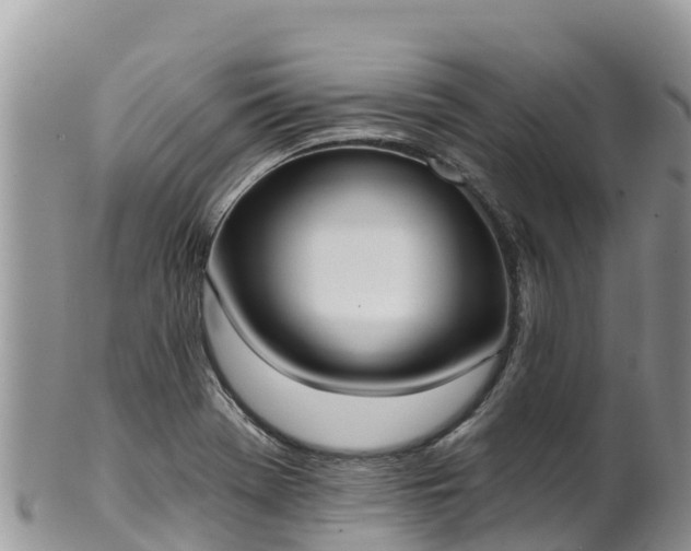 X0000102291369200808011503