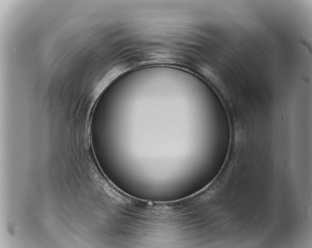 X0000102291370200808011503