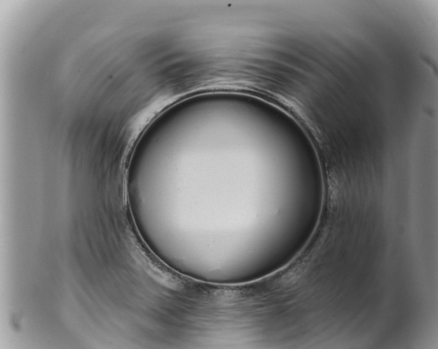 X0000102291371200808011503