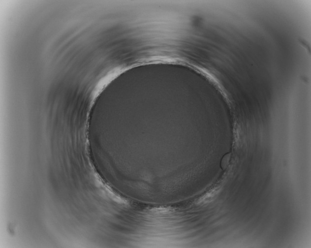 X0000102291373200808011503