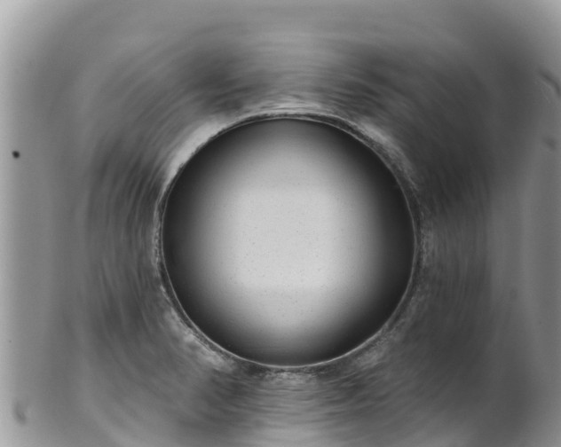 X0000102291374200808011503