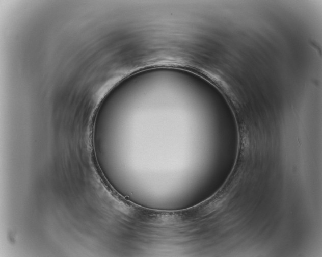 X0000102291375200808011503