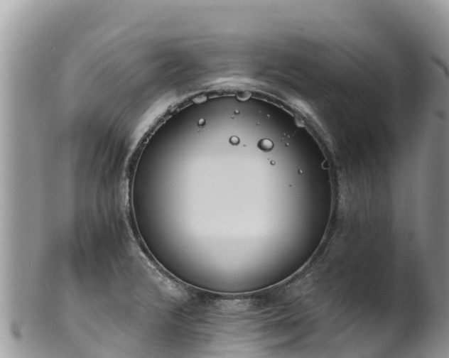 X0000102291376200808011503