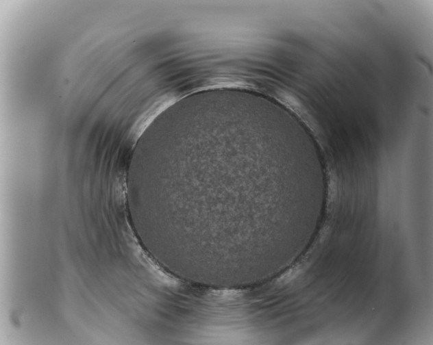 X0000102291377200808011503