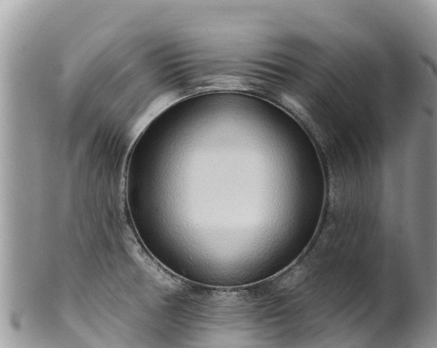 X0000102291378200808011503