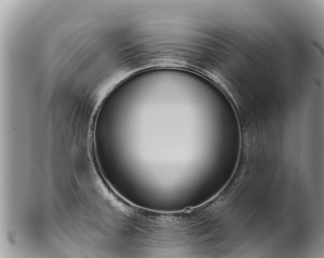 X0000102291379200808011503