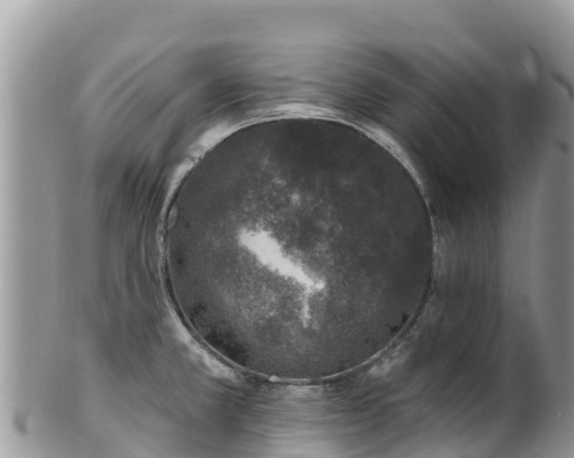 X0000102291381200808011503