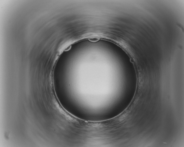 X0000102291382200808011503