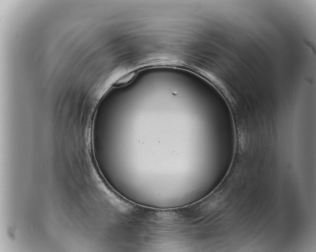 X0000102291383200808011503