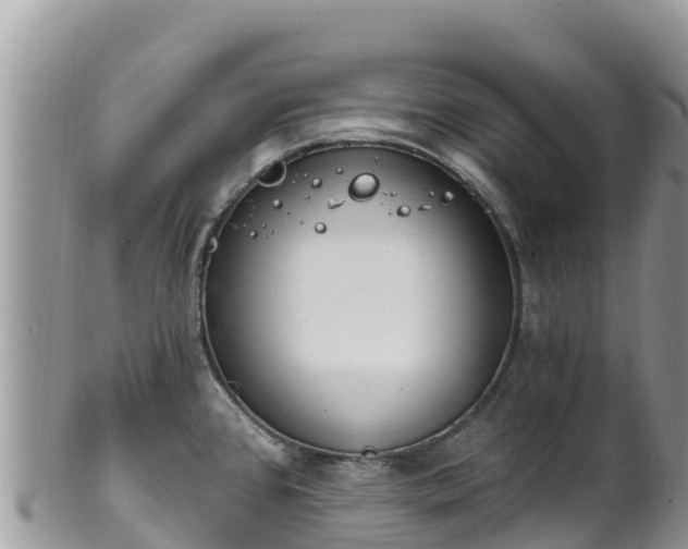 X0000102291384200808011503