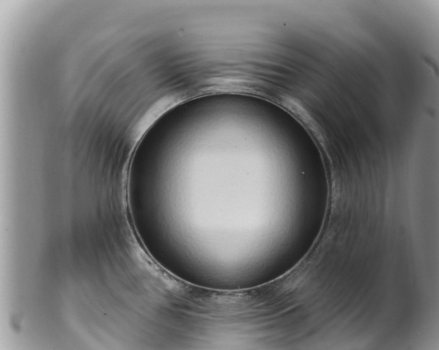 X0000102291386200808011503