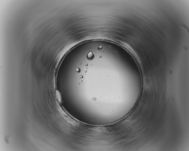 X0000102291388200808011503