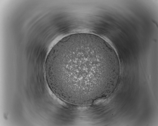 X0000102291389200808011503