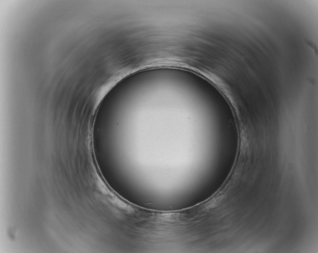 X0000102291390200808011503