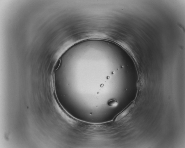 X0000102291391200808011503