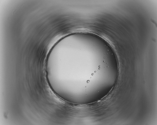 X0000102291392200808011503