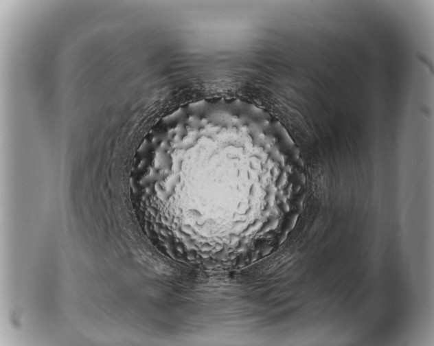 X0000102291393200808011502