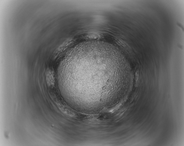 X0000102291394200808011502