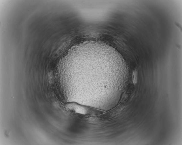 X0000102291395200808011502