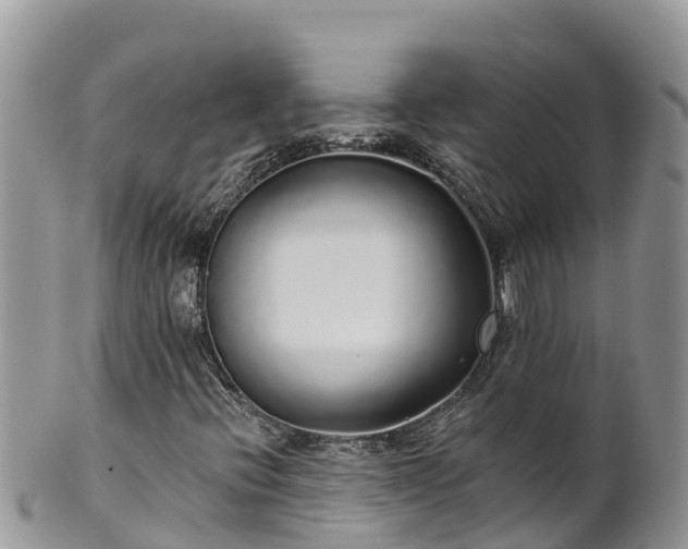 X0000102291396200808011502