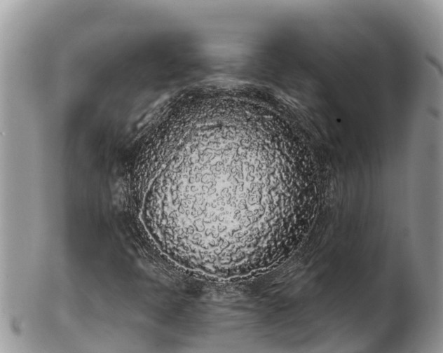 X0000102291397200808011502