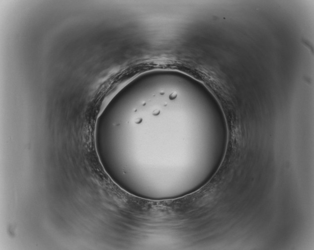 X0000102291398200808011502