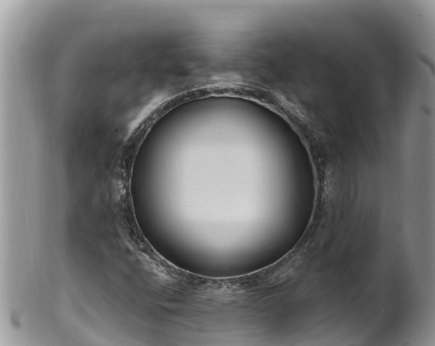 X0000102291400200808011502