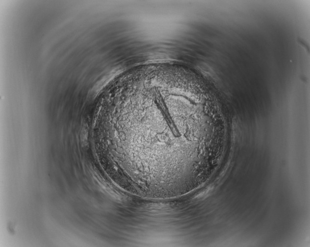 X0000102291401200808011502