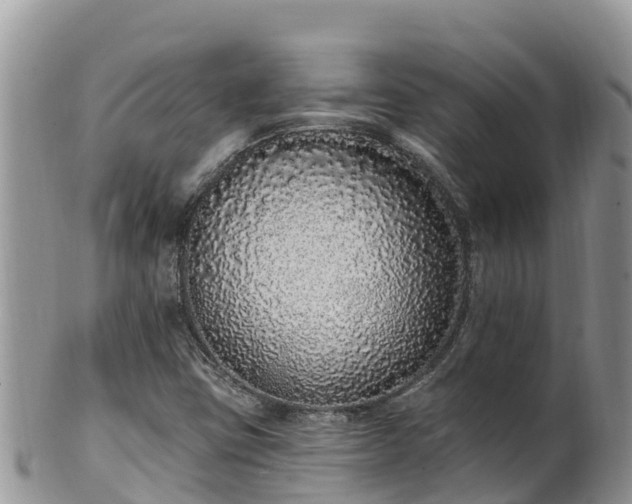 X0000102291403200808011502