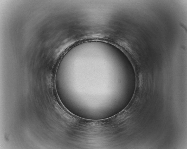 X0000102291404200808011502