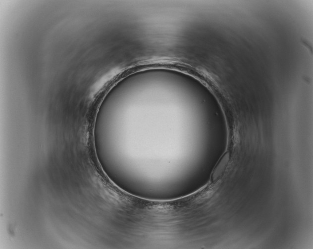 X0000102291406200808011502