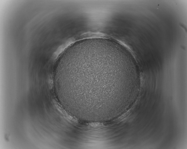 X0000102291407200808011502