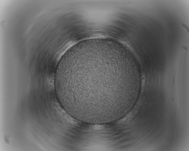 X0000102291409200808011503