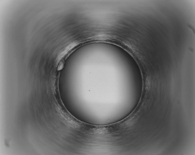 X0000102291410200808011503