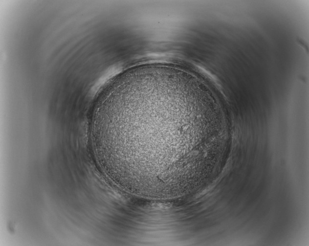 X0000102291411200808011503