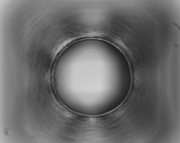 X0000102291412200808011503