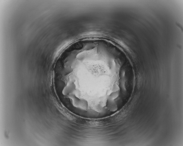 X0000102291413200808011503