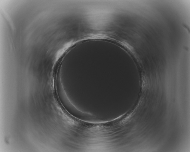 X0000102291414200808011503