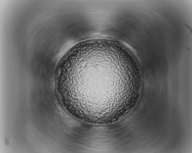 X0000102291415200808011503