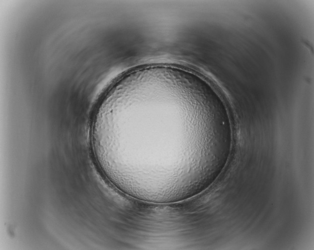 X0000102291416200808011503