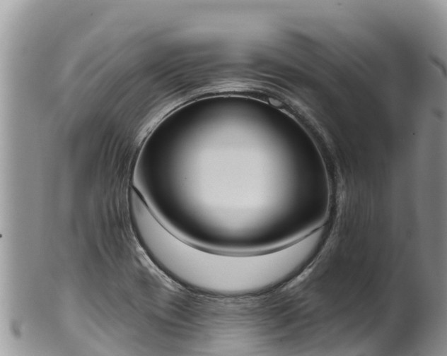 X0000102291417200808011503