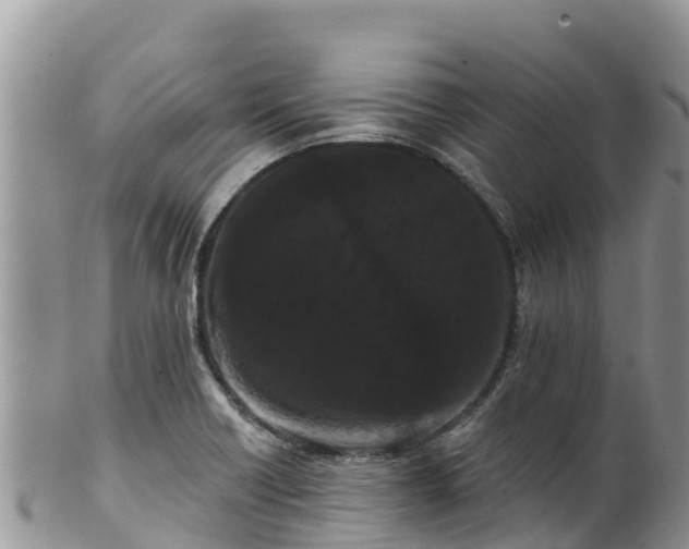 X0000102291418200808011503