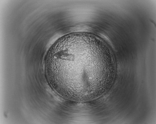 X0000102291419200808011503